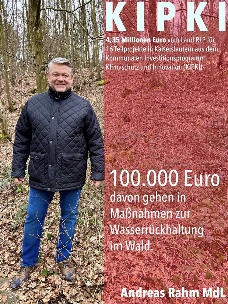 KIPKI Wald